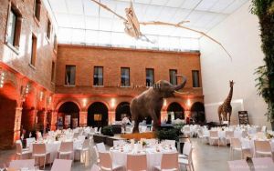 Museum d'histoire naturelle